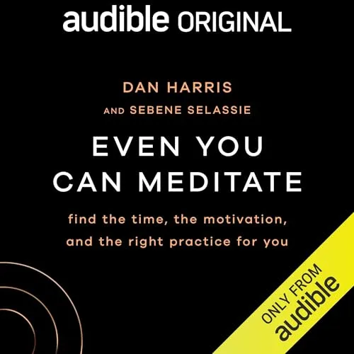 Even You Can Meditate By Dan Harris, Sebene Selassie
